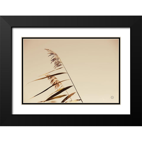 Windswept Grasses Black Modern Wood Framed Art Print with Double Matting by Larson, Nathan