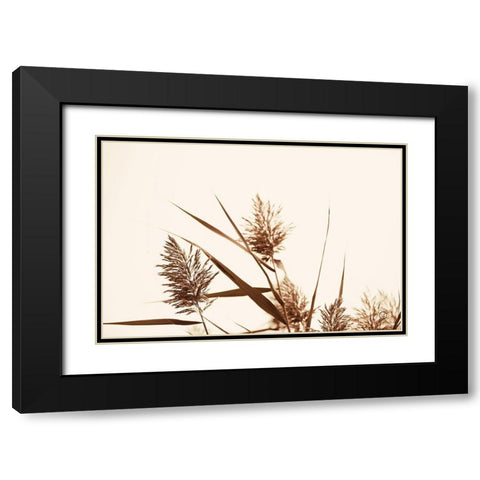 Country Grasses I Black Modern Wood Framed Art Print with Double Matting by Larson, Nathan