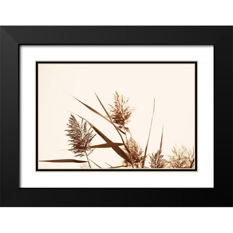 Country Grasses I Black Modern Wood Framed Art Print with Double Matting by Larson, Nathan
