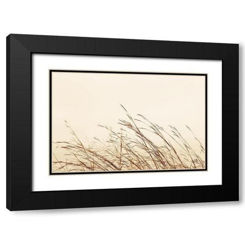 Country Grasses II Black Modern Wood Framed Art Print with Double Matting by Larson, Nathan