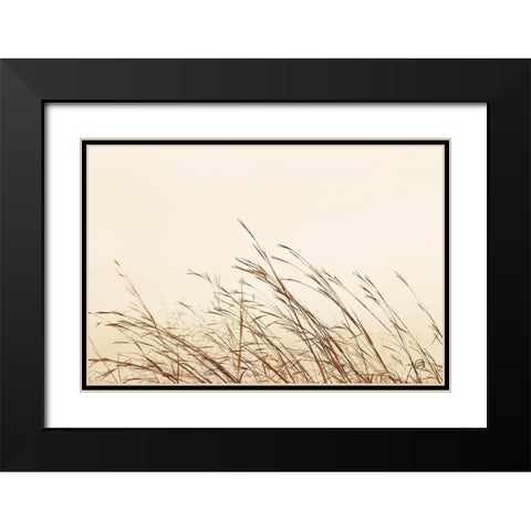 Country Grasses II Black Modern Wood Framed Art Print with Double Matting by Larson, Nathan