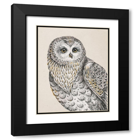 Beautiful Owls IV Vintage Black Modern Wood Framed Art Print with Double Matting by Brissonnet, Daphne