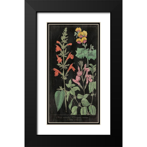 Salvia Florals I on Black Black Modern Wood Framed Art Print with Double Matting by Wild Apple Portfolio