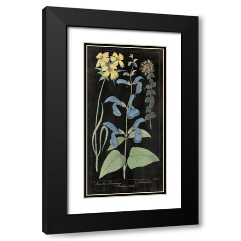 Salvia Florals II on Black Black Modern Wood Framed Art Print with Double Matting by Wild Apple Portfolio