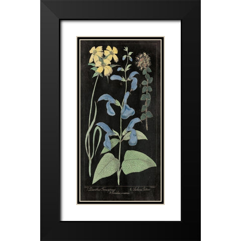 Salvia Florals II on Black Black Modern Wood Framed Art Print with Double Matting by Wild Apple Portfolio