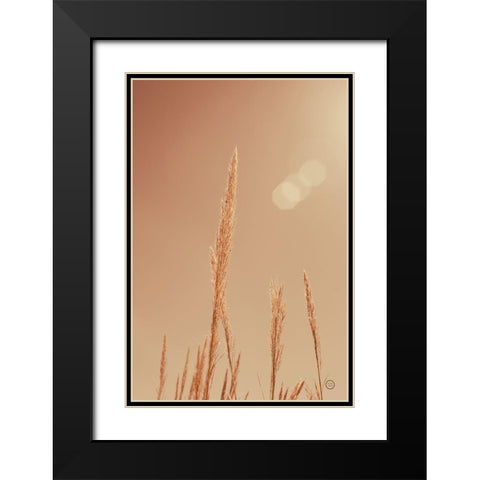 Noon Grasses I Black Modern Wood Framed Art Print with Double Matting by Larson, Nathan