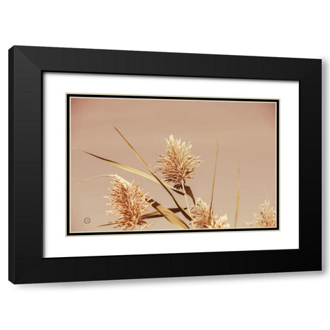 Noon Grasses III Black Modern Wood Framed Art Print with Double Matting by Larson, Nathan