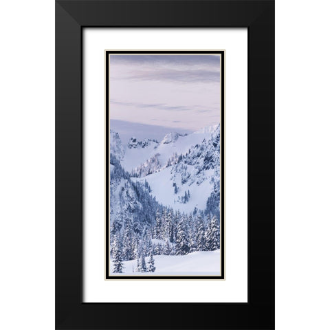 Tatoosh Range Triptych I Black Modern Wood Framed Art Print with Double Matting by Majchrowicz, Alan