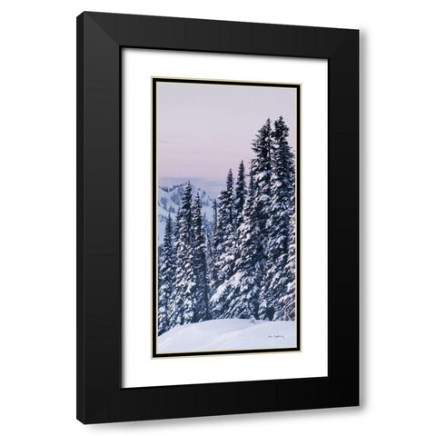 Tatoosh Range Panel III Black Modern Wood Framed Art Print with Double Matting by Majchrowicz, Alan