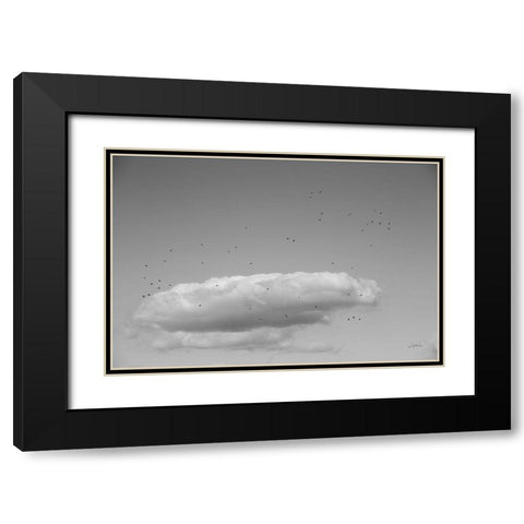 Flock in Flight Black Modern Wood Framed Art Print with Double Matting by Aledanda