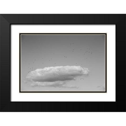 Flock in Flight Black Modern Wood Framed Art Print with Double Matting by Aledanda
