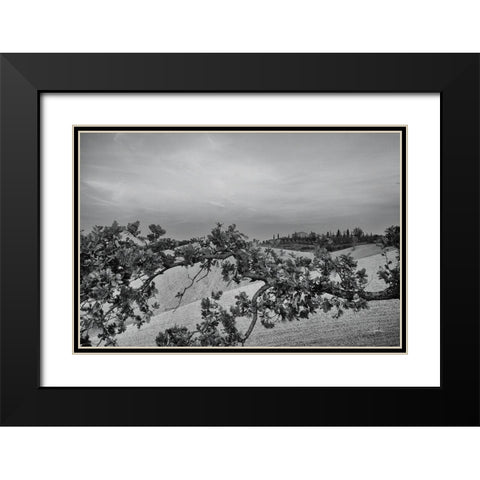 Villa View Black Modern Wood Framed Art Print with Double Matting by Aledanda