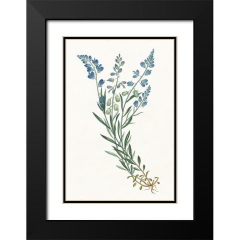 Polygala on White Black Modern Wood Framed Art Print with Double Matting by Wild Apple Portfolio