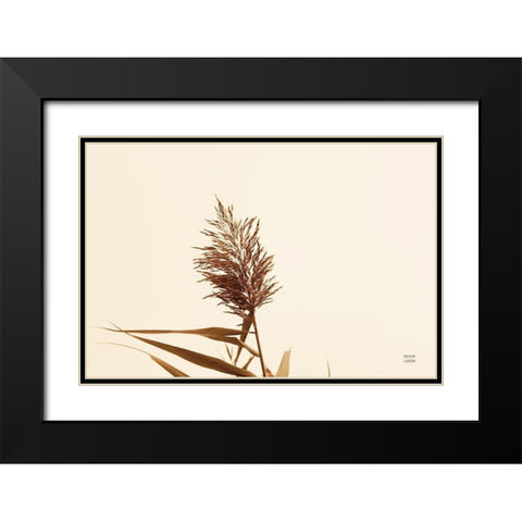 Summer Reeds I Black Modern Wood Framed Art Print with Double Matting by Larson, Nathan