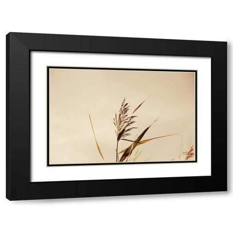 Summer Reeds II Black Modern Wood Framed Art Print with Double Matting by Larson, Nathan