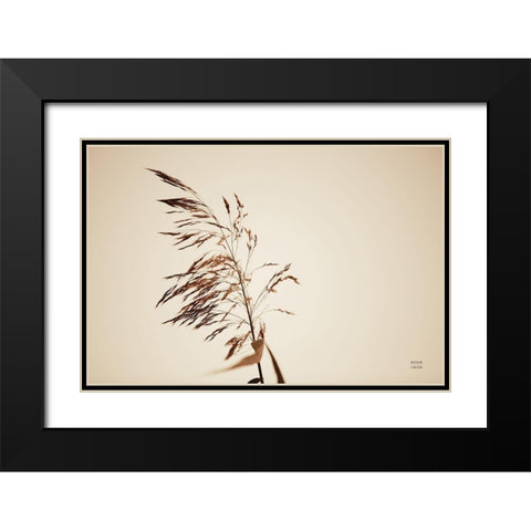 Summer Reeds III Black Modern Wood Framed Art Print with Double Matting by Larson, Nathan
