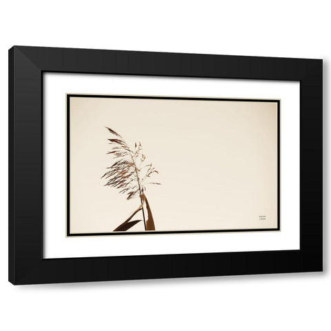 Summer Reeds IV Black Modern Wood Framed Art Print with Double Matting by Larson, Nathan