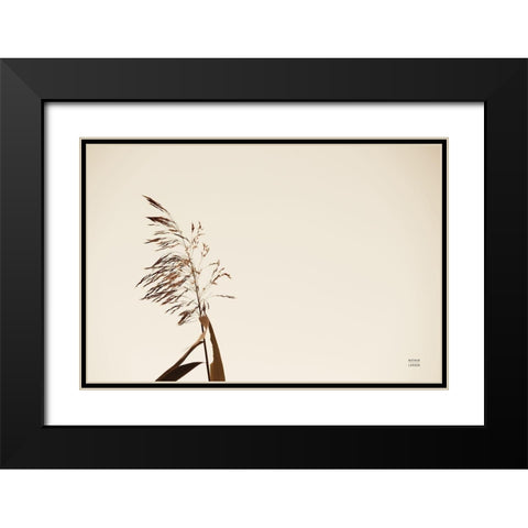Summer Reeds IV Black Modern Wood Framed Art Print with Double Matting by Larson, Nathan