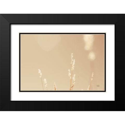 Lakeside Grasses I Black Modern Wood Framed Art Print with Double Matting by Larson, Nathan