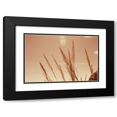Lakeside Grasses VI Black Modern Wood Framed Art Print with Double Matting by Larson, Nathan