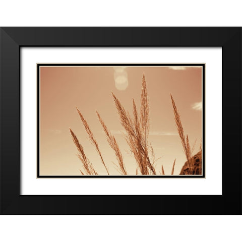 Lakeside Grasses VI Black Modern Wood Framed Art Print with Double Matting by Larson, Nathan