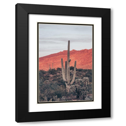 Sunsets and Saguaros I Black Modern Wood Framed Art Print with Double Matting by Larson, Nathan
