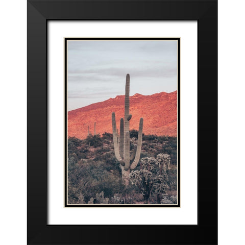 Sunsets and Saguaros I Black Modern Wood Framed Art Print with Double Matting by Larson, Nathan