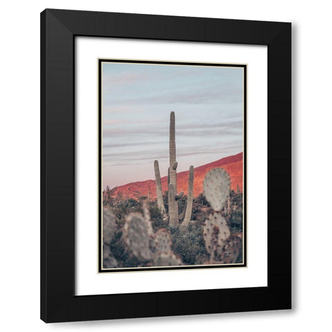 Sunsets and Saguaros II Black Modern Wood Framed Art Print with Double Matting by Larson, Nathan