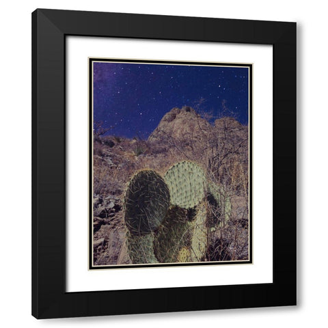 Prickly Stars Black Modern Wood Framed Art Print with Double Matting by Larson, Nathan