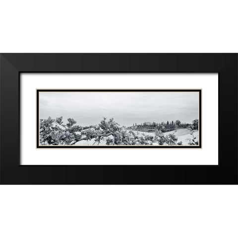 Villa View Light Crop Black Modern Wood Framed Art Print with Double Matting by Aledanda