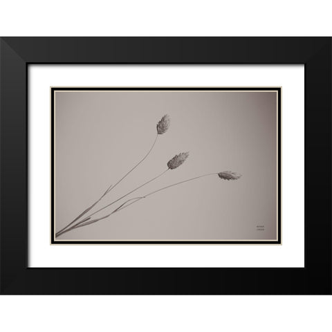 Grass Study Black Modern Wood Framed Art Print with Double Matting by Larson, Nathan