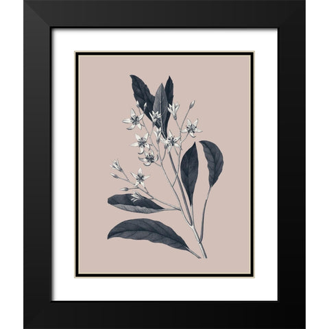 Botanical V on Pink Black Modern Wood Framed Art Print with Double Matting by Wild Apple Portfolio