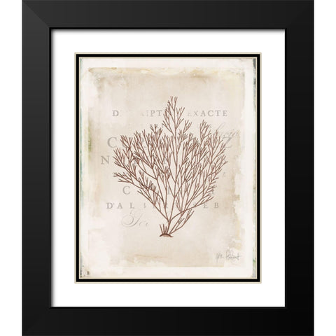 Sea Garden II Brown Black Modern Wood Framed Art Print with Double Matting by Pertiet, Katie