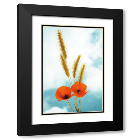 Wild Poppies Black Modern Wood Framed Art Print with Double Matting by Aledanda
