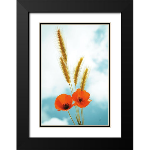 Wild Poppies Black Modern Wood Framed Art Print with Double Matting by Aledanda