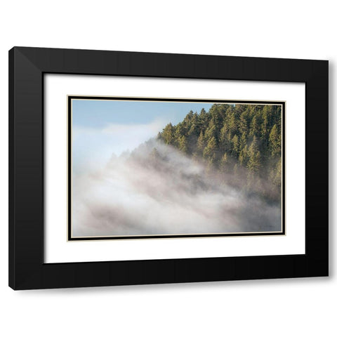 Fog and Forest I Black Modern Wood Framed Art Print with Double Matting by Majchrowicz, Alan