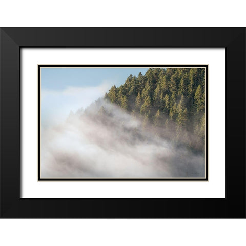 Fog and Forest I Black Modern Wood Framed Art Print with Double Matting by Majchrowicz, Alan