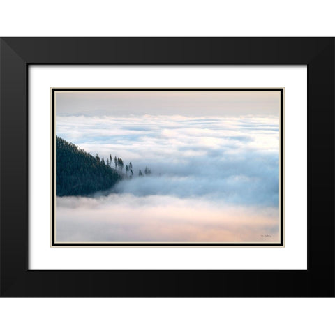 Fog and Forest III Black Modern Wood Framed Art Print with Double Matting by Majchrowicz, Alan