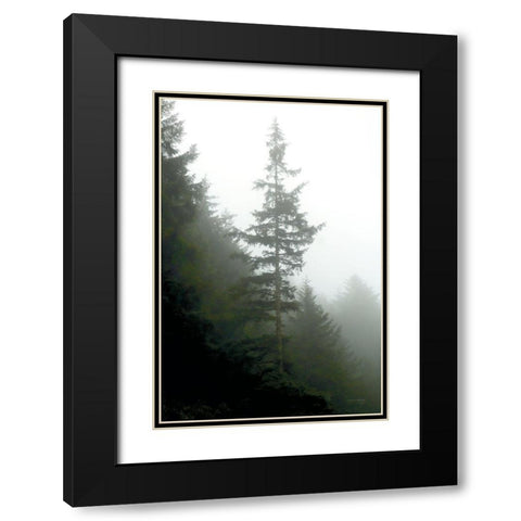 Majestic Pines I Black Modern Wood Framed Art Print with Double Matting by Van Swearingen, Debra