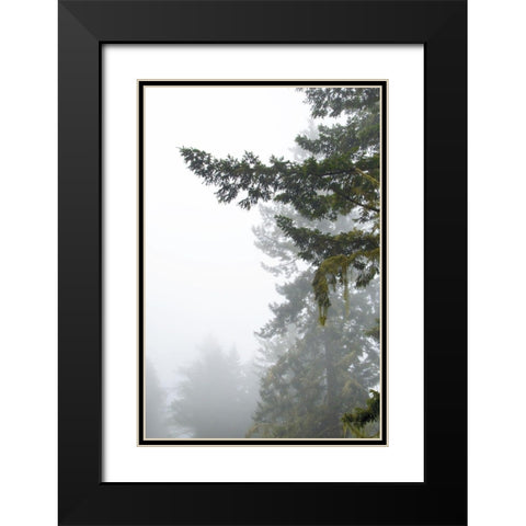 Majestic Pines II Black Modern Wood Framed Art Print with Double Matting by Van Swearingen, Debra