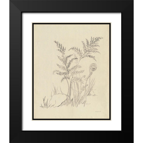 Vintage Nature Sketchbook VI Black Modern Wood Framed Art Print with Double Matting by Nai, Danhui