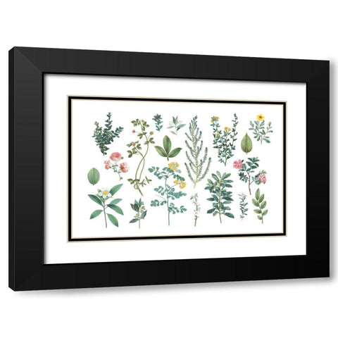 Victorian Garden Bright III Black Modern Wood Framed Art Print with Double Matting by Wild Apple Portfolio