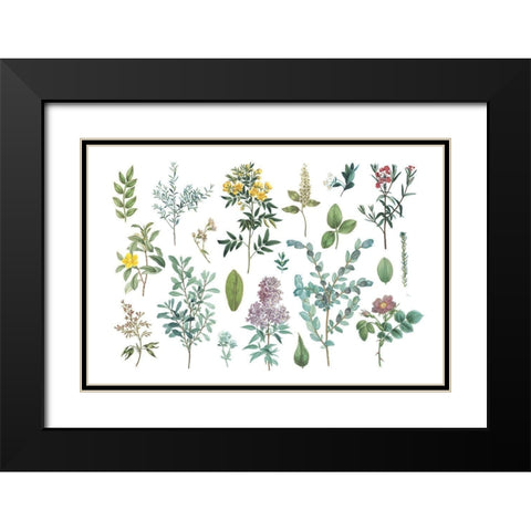 Victorian Garden Bright IV Black Modern Wood Framed Art Print with Double Matting by Wild Apple Portfolio