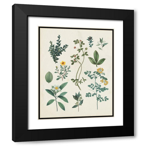 Victorian Garden V Light Black Modern Wood Framed Art Print with Double Matting by Portfolio, Wild Apple