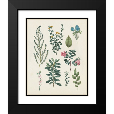 Victorian Garden VI Light Black Modern Wood Framed Art Print with Double Matting by Portfolio, Wild Apple