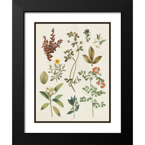 Victorian Garden III Autumn Crop I Black Modern Wood Framed Art Print with Double Matting by Wild Apple Portfolio