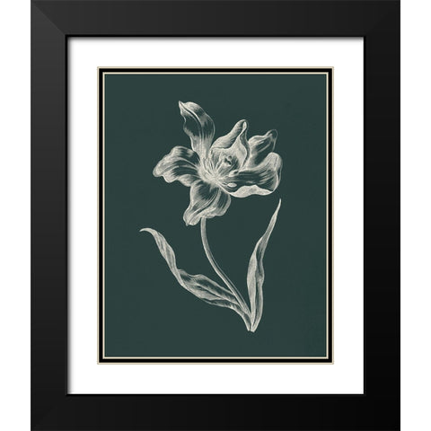 Eden Tulips I Black Modern Wood Framed Art Print with Double Matting by Wild Apple Portfolio