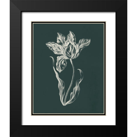 Eden Tulips II Black Modern Wood Framed Art Print with Double Matting by Wild Apple Portfolio