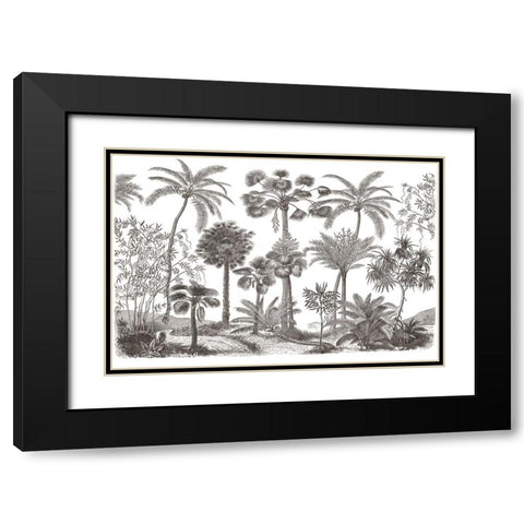 Palm Oasis III Black Modern Wood Framed Art Print with Double Matting by Wild Apple Portfolio