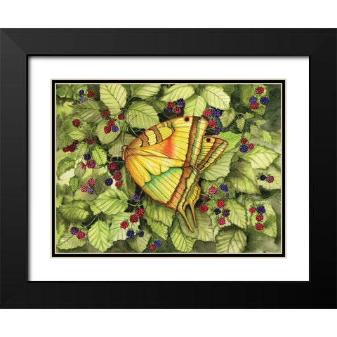 Bountiful Butterfly Black Modern Wood Framed Art Print with Double Matting by McKenna, Kathleen Parr